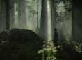 Shadow of the Colossus bevat erg interessante 'easter egg'